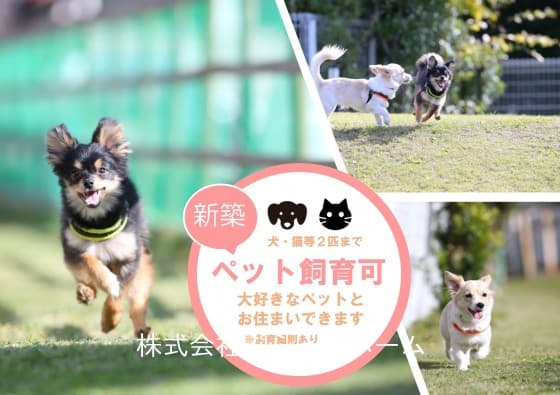 リムテラスパーク高円寺 - 7