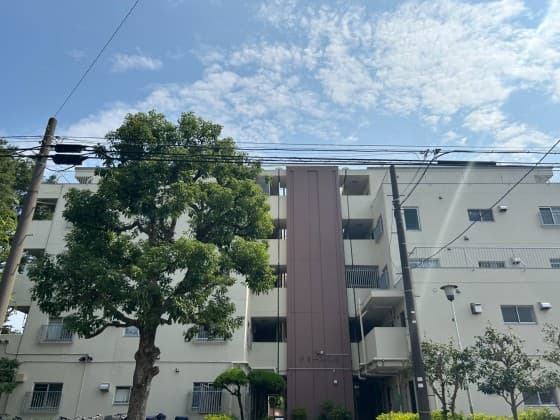 ドミール蓮根