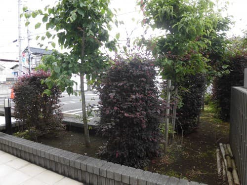 六町 一棟アパート - 9