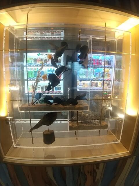 サンハイム田町 - 4