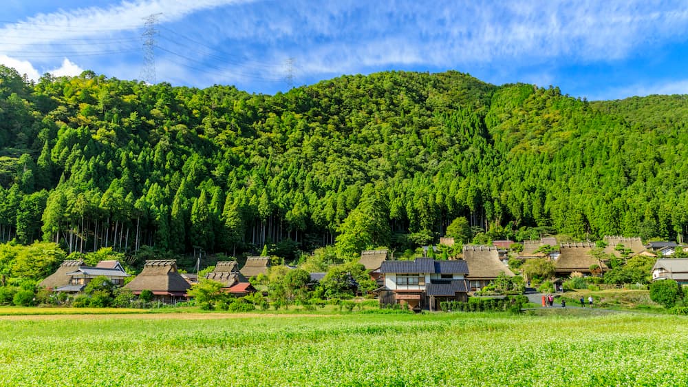 地方移住ブームの真実 ― 定住率と資産価値は見合うのか