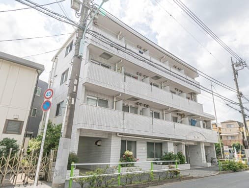 トップ志村